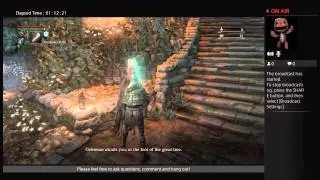 Brither_Dom plays Bloodborne casually, again?!