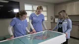 Anatomage Table