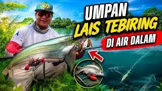 BELAJAR CARA CASTING LAIS TEMBIRING bersama Suhu nya @budiirwanto2854 
