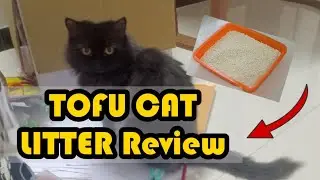 Tofu Cat Litter Review ( We Tried Tofu Cat Litter)😭 Review  : Cat Products India