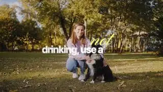 Prevent Dog Heat Stroke