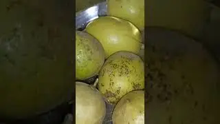 Elephant lemon#Jambo lemon# Gaja lime#pickle#juice#like#subscribe#