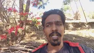 மல்லியை பழிவாங்க நினைத்த சுடருக்கு சரியான பதிலடி கொடுத்த விஜய்.. Malli serial promo 631 / Malli 631