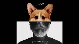 the lazy jesus - my little legs (CORGI_33)