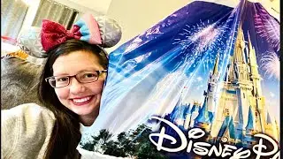 Disney World Haul 2020