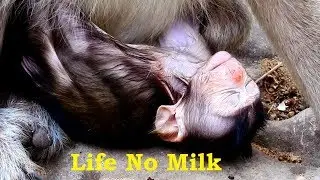 Pity Poor Baby Alow No Milk Very Starving Coz Kidnapper didnt return to Mummy