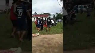 sapinya ngamukk ,bikin onaarr