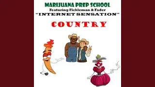 Internet Sensation Country