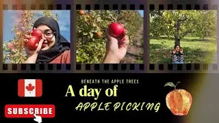 My First Time Apple Picking in Canada &ndash; Fall Day Out | Fall 2025 | New Brunswick | Canada 🍎🇨🇦