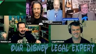 Disney Legal Expert