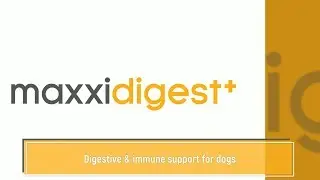 maxxidigest+ is an advanced digestive & immune support for dogs