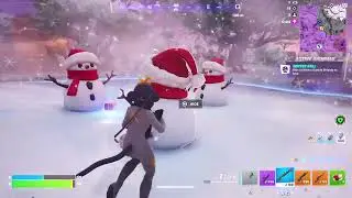 Fortnite crown Vic on new PS5