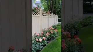 35 Stunning Privacy Fence Ideas For A More Private Backyard