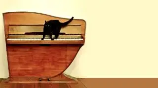 Greg Haines - The Spin