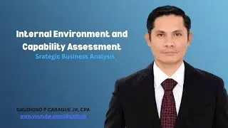 Internal Environment & Capability Assessment