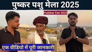 पुष्कर पशु मेला 2025 शुरू Pushkar Pashu Mela एक वीडियो पूरी जानकारी #pushkarfair #pushkarfair2025