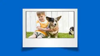 Lawn Care Service Omaha