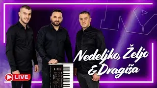 Nedeljko, Željo i Dragi&scaron;a - Jekni grlo iz tuđine - (Uživo 2025)