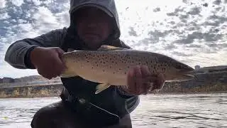  Fall Fishing For BIG BROWN TROUT - Lehigh River ( PA ) 