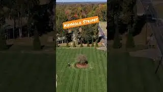 Fescue Freak keyhole stripes #lawnstripes #lawncare #fall