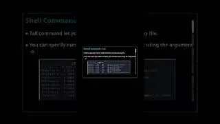 Cyber Security Track | GDG On Campus &mdash; Building Secure Digital Skills