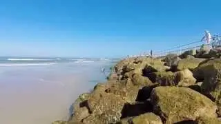 GoPro - Sharks at Ponce Inlet - Drone