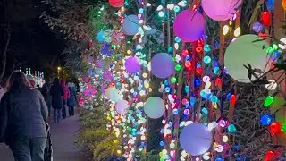 WildLanterns Woodland Park Zoo. December 27,2025