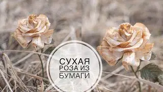 HOW TO OLD PAPER? paper rose / КАК СОСТАРИТЬ БУМАГУ? Роза из бумаги / DIY TSVORIC