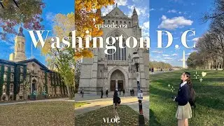 🇺🇸워싱턴 D.C 여행 브이로그 | 미국 워싱턴 VLOG✨| 국회의사당 &middot; 백악관 &middot; 제퍼슨 기념관 &middot; 링컨 기념관 &middot; 한국전쟁 참전용사 기념관 &middot; 프린스턴 대학교🌳