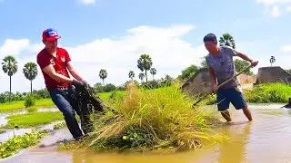 We Try Remove Floating Plants And Debris Clogged Massive Dam Drain Water After Heavy Rain To Canal