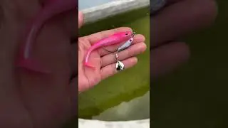 high quality Anti-hanging bottom fish bait