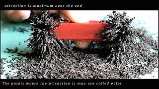 MAGNET PART 1 - Poles / Attraction | Repulsion is the surer test Magnetism | Magnet - Basic PHYSICS