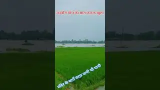 pani hi pani☁️🌨️☁️🌨️🌊🌫️#danzer#badhh#baris#reel