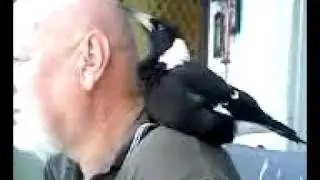 Eddie Magpie talks