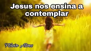 Jesus nos ensina a contemplar