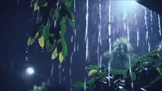 Sleep Instantly with Rain Sounds | Deep Rain Ambience for Better Sleep