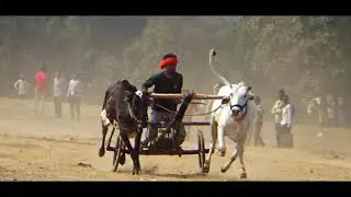 तीसरा दिन दोंदिवाडा पट प्रतियोगिता ❤ पहला कपल 👍 Ox Race Pat Pratiyogita Video 🙋 Barghati Bhaiya Pat