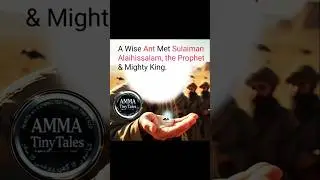 Sulaiman (A.S.) Met A Wise Ant #Islamic Moral Story #Wisdom