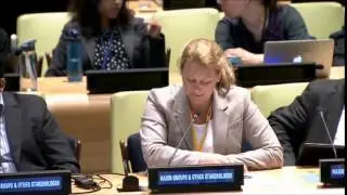 Ms. Christina Bage-Friborg - Sandvik - June UN Post-2015 negotiations