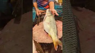Amazing Fish Cut Skills | Big Carp Fish Cutting By Expert Cutter