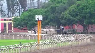 Clarissa (Street Hero) H. Rancho Fatima 29.01.26