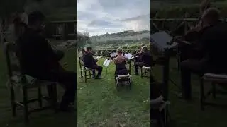 Bruno Mars - Marry You - string quartet