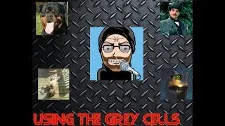 My Conversation With Little Grey Cells