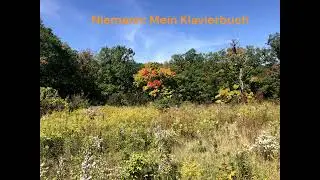 Walter Niemann: Mein Klavierbuch, Opus 114