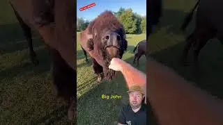 Don't Let These Animals Bite You...