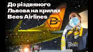 First Bees Airlines flight from Kyiv to Lviv on winter holidays