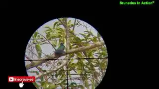Demosntração da Luneta Hero 6-24x50 Com Scope Cam - Primeiras impressões