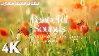 Relaxing Flute Music in 4K Soothing Sounds Over Aerial Nature Drone Views
