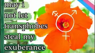 Transgender & Nonbinary Mindfulness | 20 Affirmations | Befriending Trans Identity | Nonbinary Pride