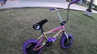 WILDCAT mini BMX Review: is it worth the extra money??? My Honest Opinion